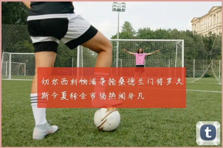 切尔西利物浦争抢桑德兰门将罗夫斯今夏转会市场热闹非凡