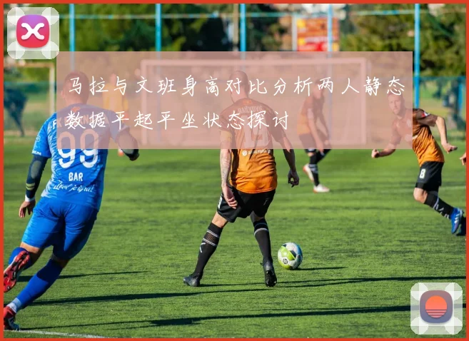 马拉与文班身高对比分析两人静态数据平起平坐状态探讨